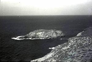 CO i- 078- Cap Falcon